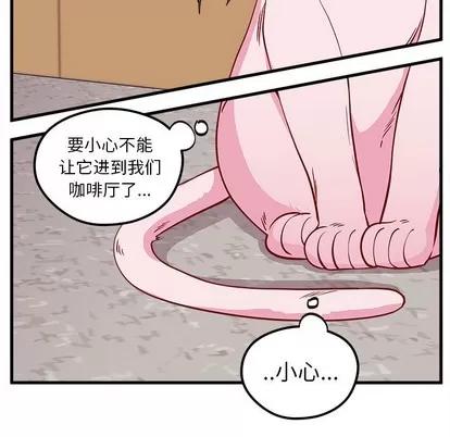 恋爱攻略 恋爱攻略 | 第45章 第79页