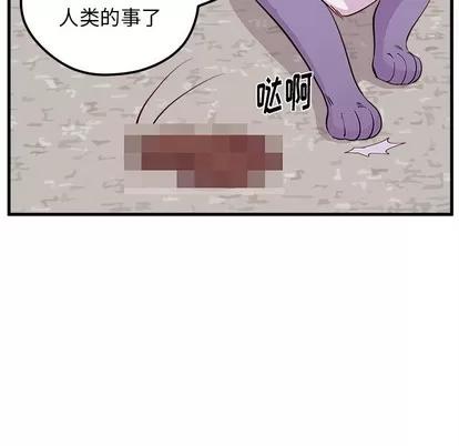 恋爱攻略 恋爱攻略 | 第45章 第84页