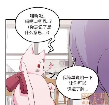 恋爱攻略 恋爱攻略 | 第45章 第85页