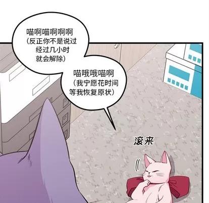 恋爱攻略 恋爱攻略 | 第45章 第99页