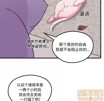 恋爱攻略 恋爱攻略 | 第45章 第100页