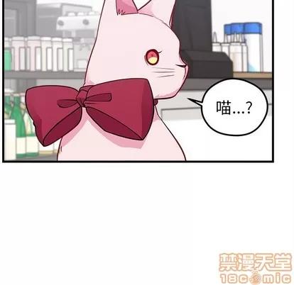 恋爱攻略 恋爱攻略 | 第47章 第55页