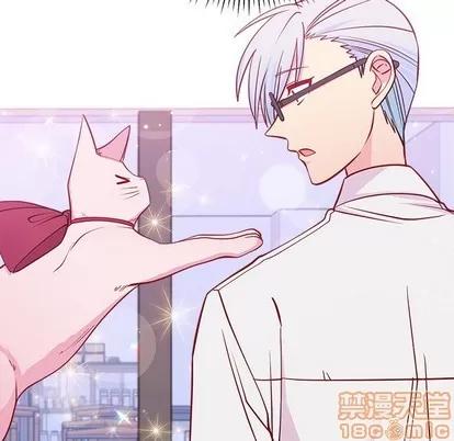 恋爱攻略 恋爱攻略 | 第47章 第100页