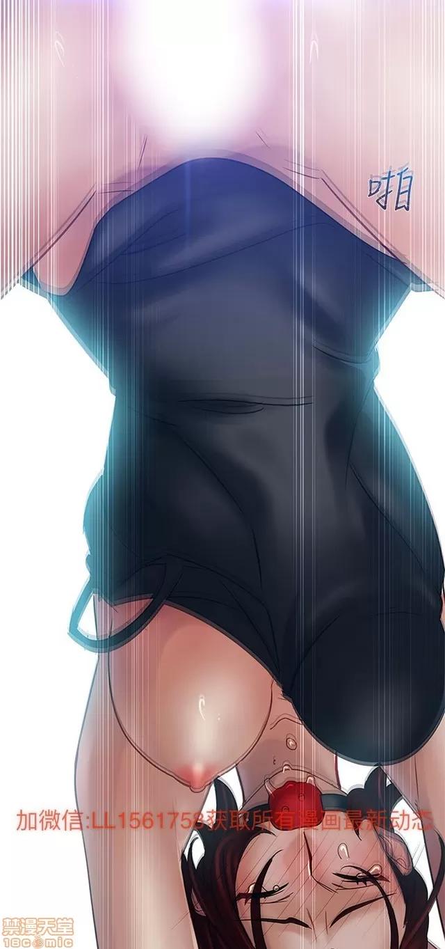 淑女花苑 淑女花苑 2 第325页