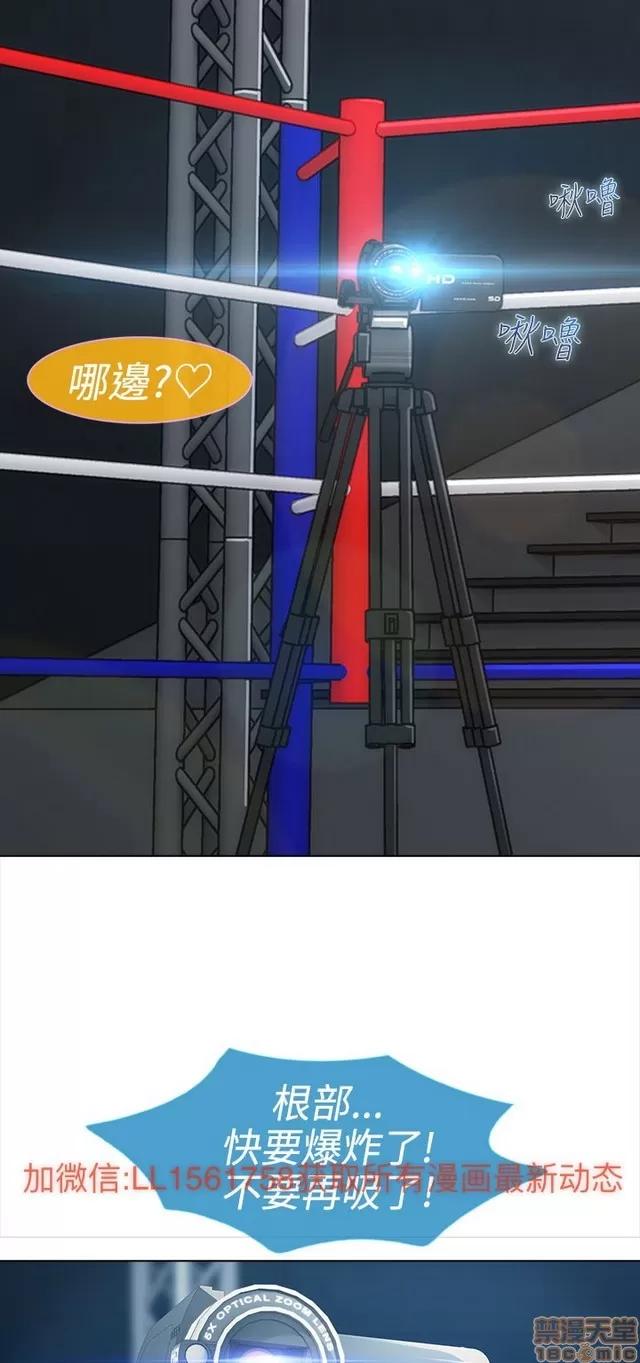淑女花苑 淑女花苑 2 第408页