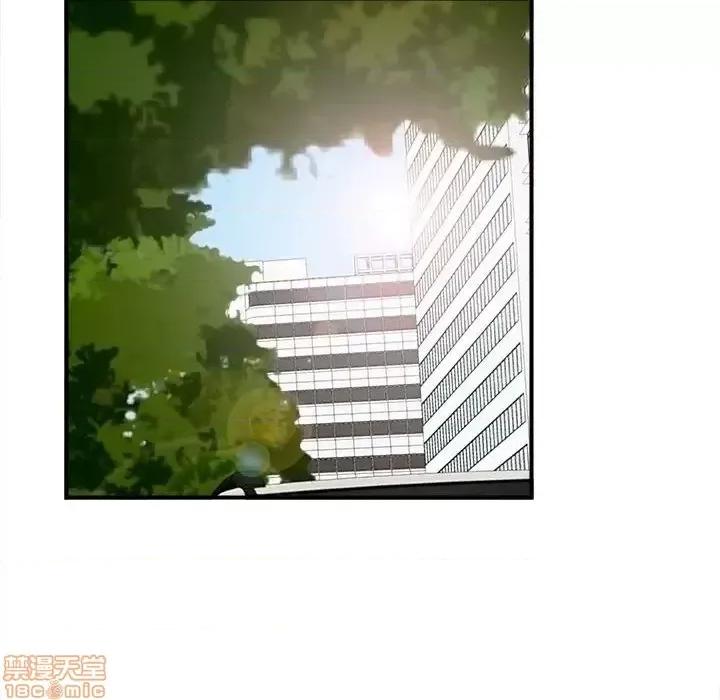 陌生的视缐 陌生的视缐 16 第66页