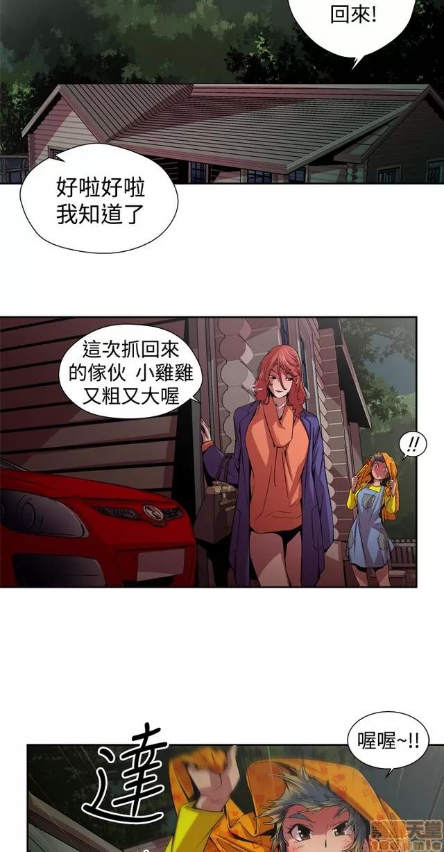 捕猎母猪 捕猎母猪 第100页