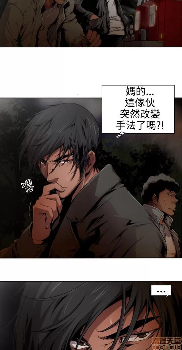 捕猎母猪 捕猎母猪 第295页