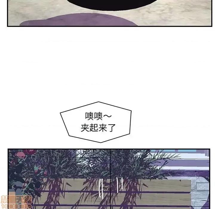 男女配不配 男女配不配 25 第48页