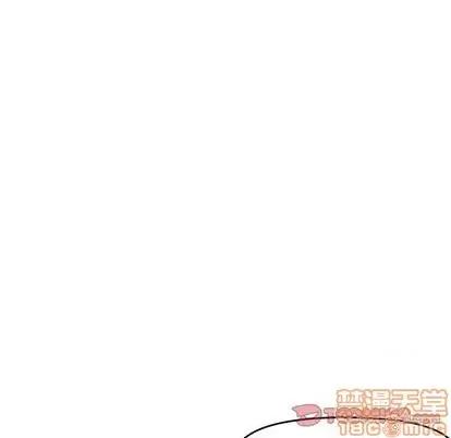 新婚夫妇 新婚夫妇 | 第25章 第245页