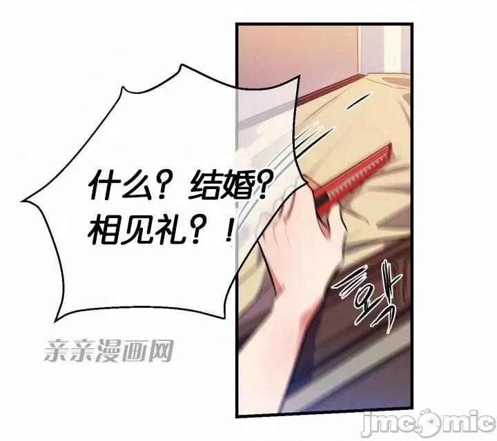 替妻子报仇 替妻子报仇-6.想见礼 第24页