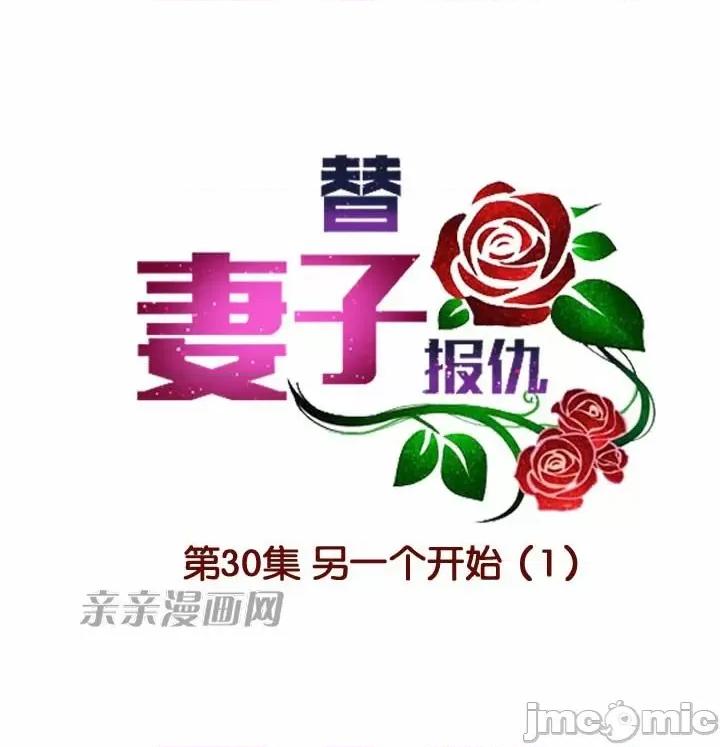 替妻子报仇 替妻子报仇-30.另一个开始（1） 第13页