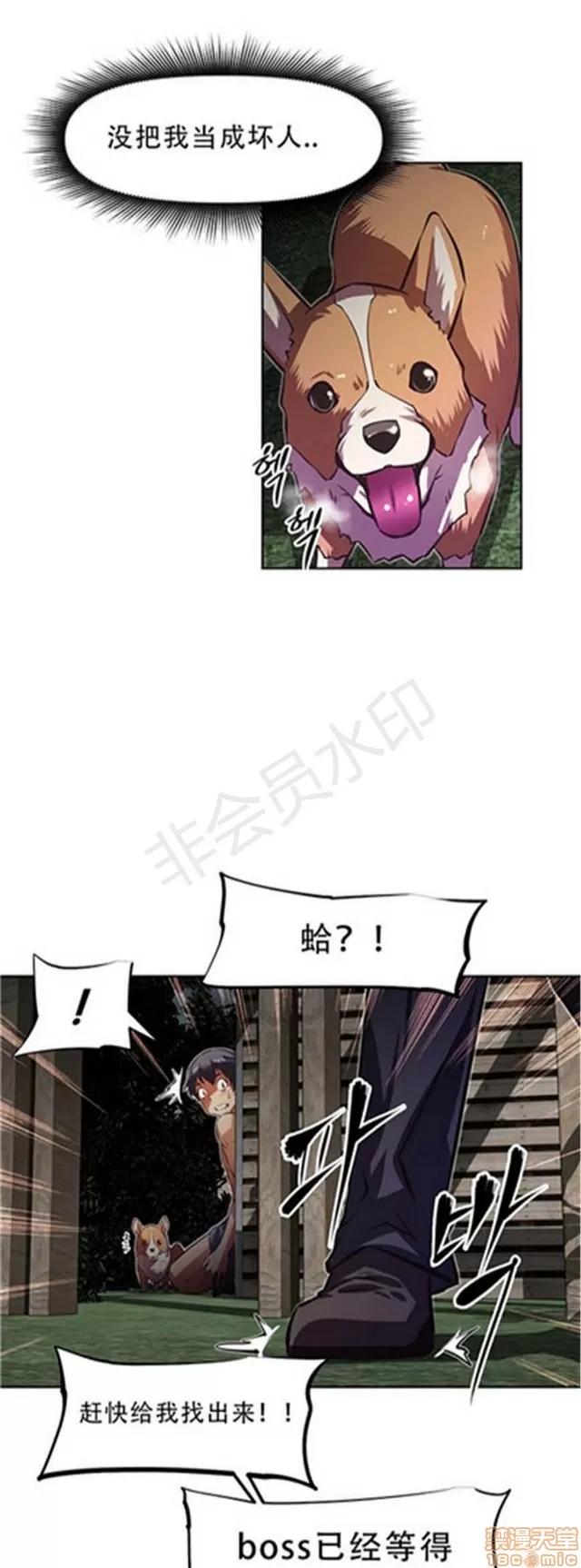 我的超级女友 4828-5265.zip 第313页
