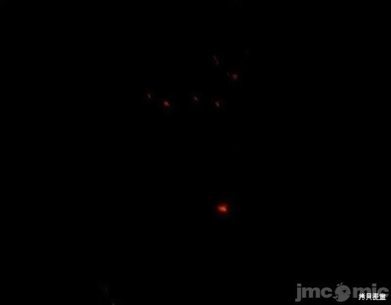 我与监狱大佬的秘密囚爱 我与监狱大佬的秘密囚爱07 第192页