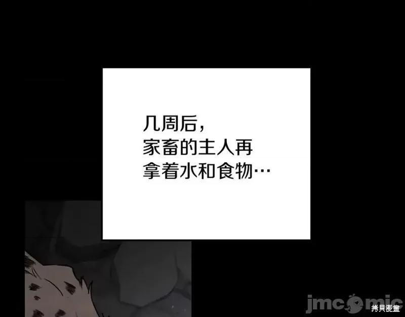 我与监狱大佬的秘密囚爱 我与监狱大佬的秘密囚爱10 第16页