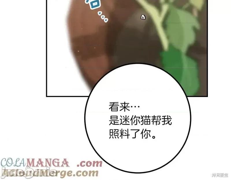 我与监狱大佬的秘密囚爱 我与监狱大佬的秘密囚爱25 第285页