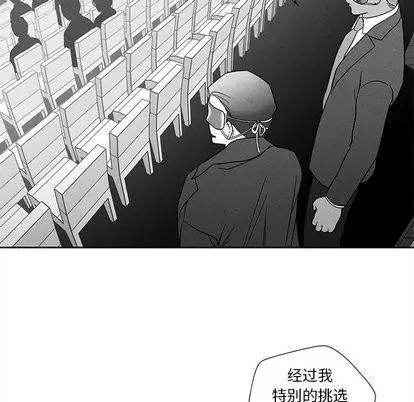 墓志铭 墓志铭 | 第17章 第81页