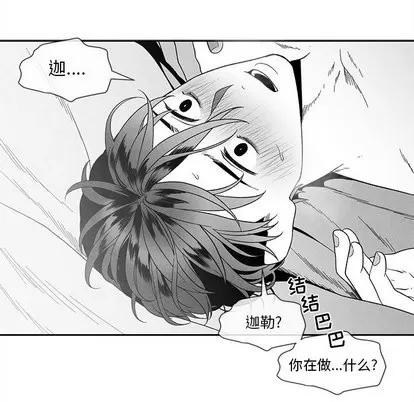 墓志铭 墓志铭 | 第21章 第37页