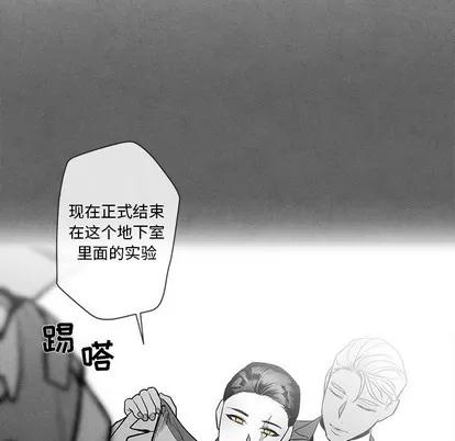 墓志铭 墓志铭 | 第28章 第11页