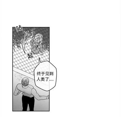 墓志铭 墓志铭 | 第31章 第41页