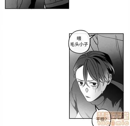 墓志铭 墓志铭 | 第41章 第45页