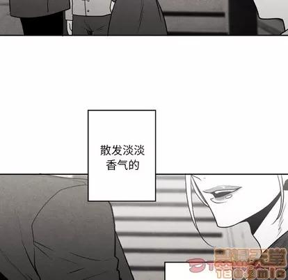 墓志铭 墓志铭 | 第51章 第10页