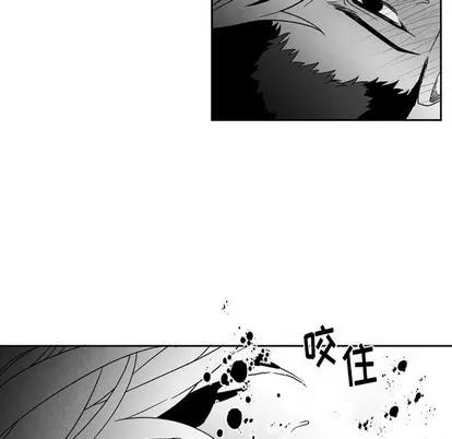 墓志铭 墓志铭 | 第53章 第21页