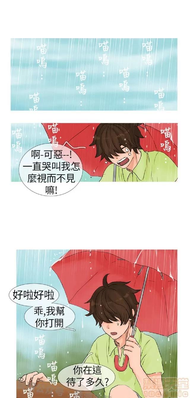 小野猫驯服手册 小野猫驯服手册|完结 第10页