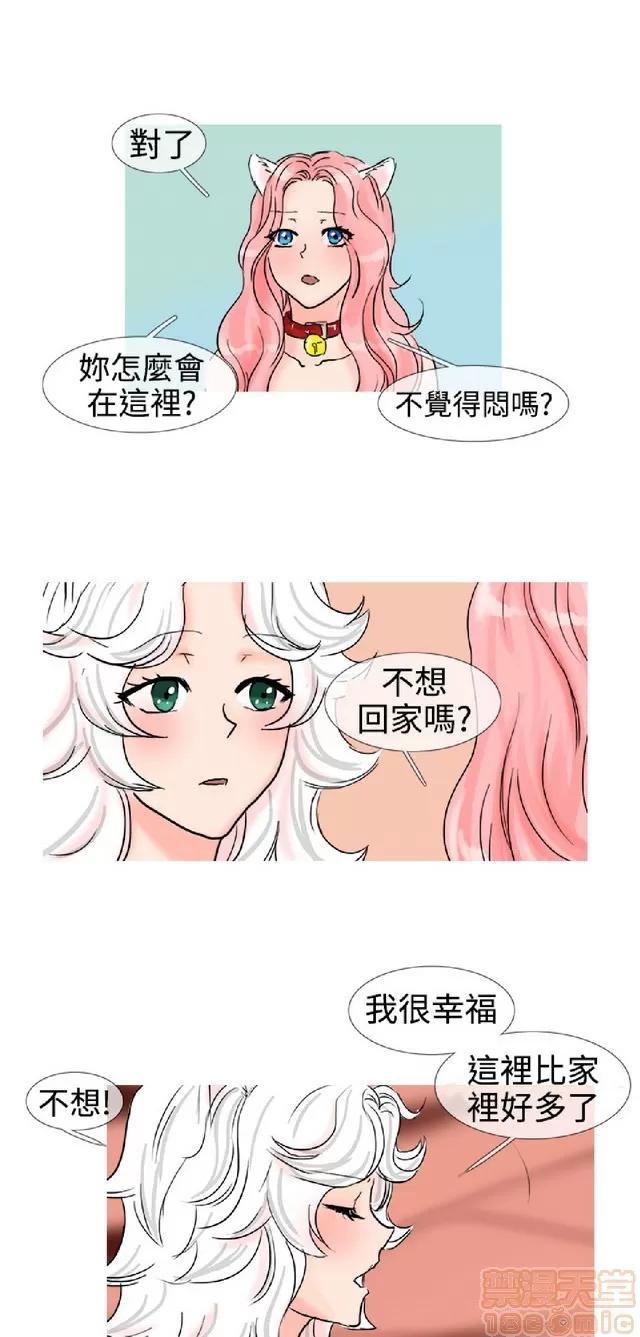 小野猫驯服手册 小野猫驯服手册|完结 第200页