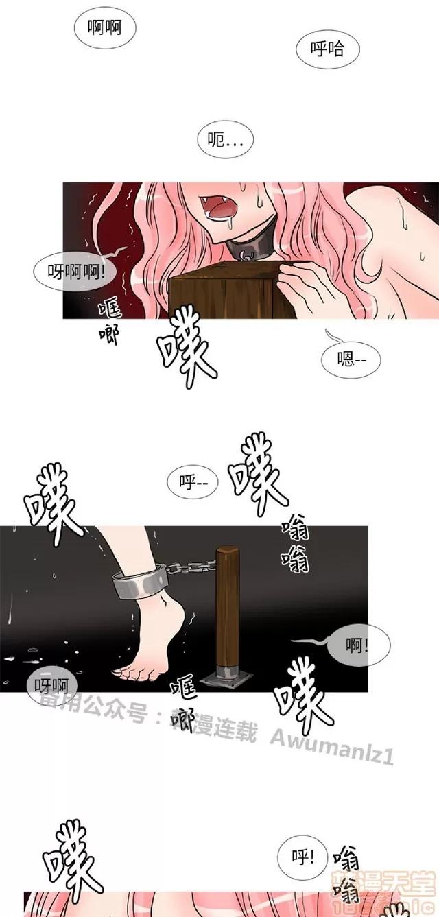 小野猫驯服手册 小野猫驯服手册|完结 第331页