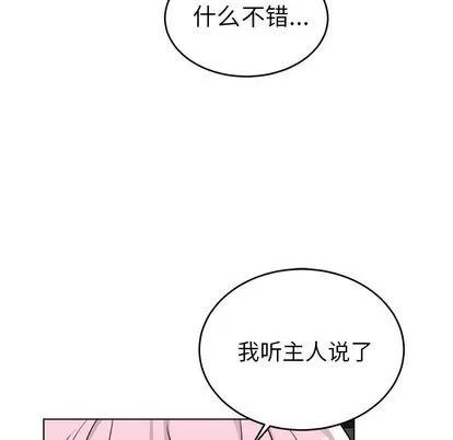 绝对吸引机器人 机器娃娃 | 第20章 第24页
