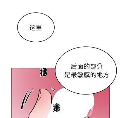 绝对吸引机器人 机器娃娃 | 第21章 第53页