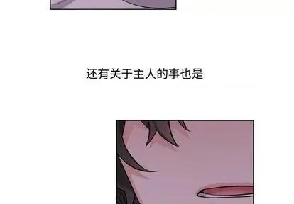 绝对吸引机器人 机器娃娃 | 第25章 第4页