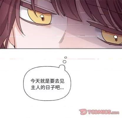 绝对吸引机器人 机器娃娃 | 第27章 第43页