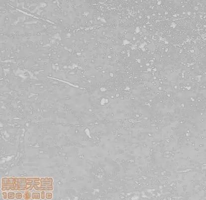 怪兽婴孩 怪兽婴孩 | 第10章 第195页