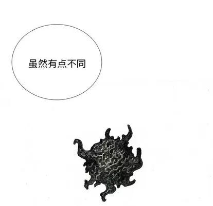 怪兽婴孩 怪兽婴孩 | 第18章 第111页