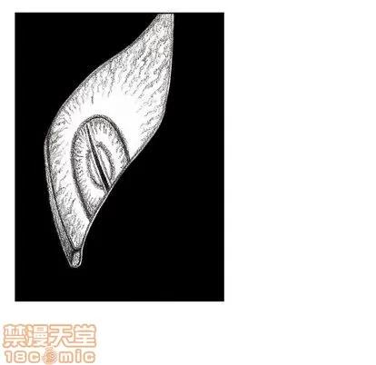 怪兽婴孩 怪兽婴孩 | 第57章 第65页