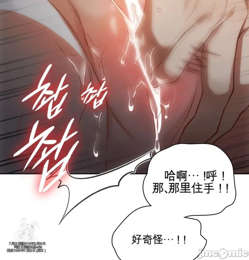 奴隶日记 奴隶日记 第41页