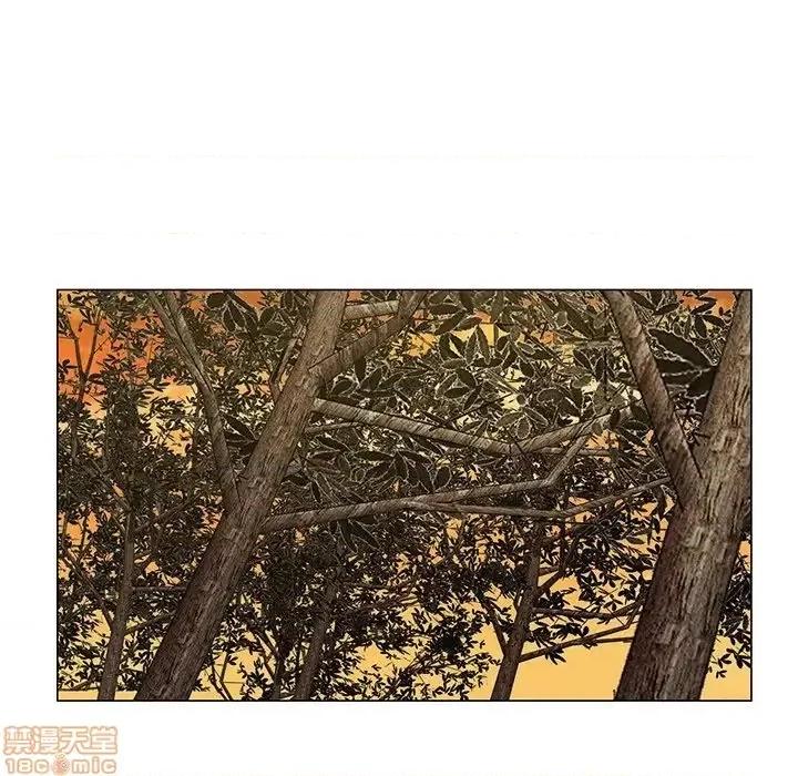 哥哥怀中的初恋 哥哥怀中的初恋 14 第97页
