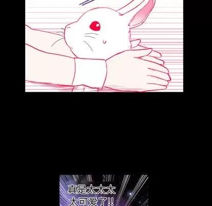 甜心骑士 甜心骑士 第11页
