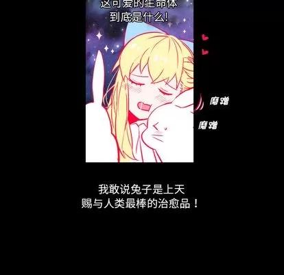 甜心骑士 甜心骑士 第13页
