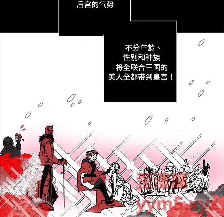 甜心骑士 甜心骑士第 64 话 第41页