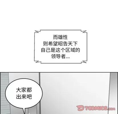 人性放逐游戏 人性放逐游戏 | 第17章 第46页