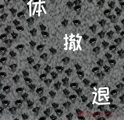 极道高校生 极道高校生 | 第60章 第53页