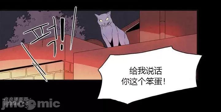 白天使没有翅膀 白天使没有翅膀-第5话 第15页