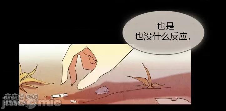 白天使没有翅膀 白天使没有翅膀-第15话 第44页