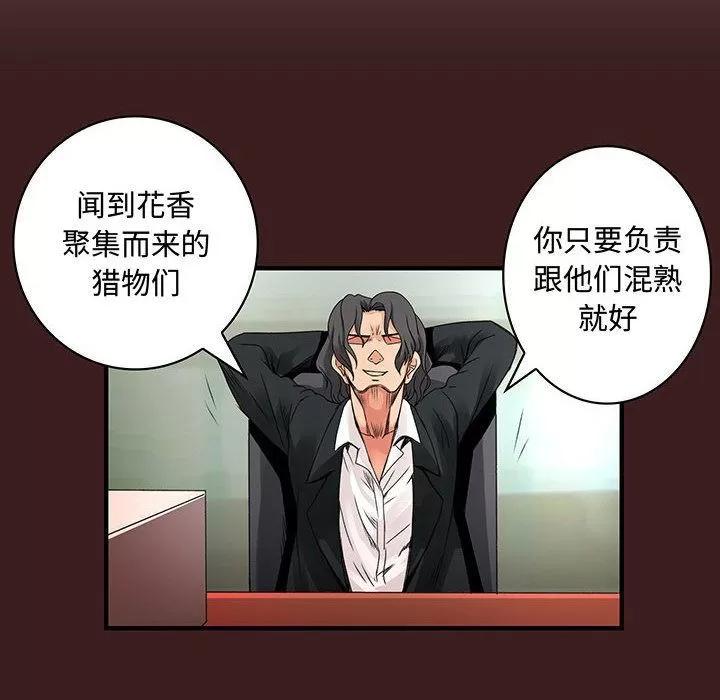 内衣社的新职员 内衣社的新职员 | 第28话 第26页