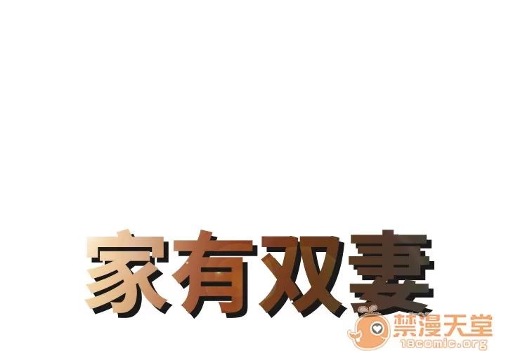 家有双妻 家有双妻 | 完结 第1页