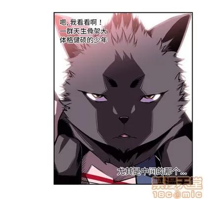 少年的新星 少年的新星 | 第2章 第10页