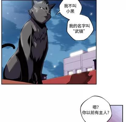 少年的新星 少年的新星 | 第2章 第36页